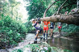 BIB: 
                            <button type="button" onclick="openModal(25432859)" class="btn btn-primary btn-sm float-right btn-popup" data-toggle="modal" data-target=".modal-high-quality">
                        <i class="fas fa-shopping-cart"></i> Add to Cart
                    </button>
                                            <button type="button" onclick="isThisMe(25432859, true)" class="btn btn-success btn-sm float-right btn-popup btn-isme hidden" data-toggle="tooltip" data-placement="bottom" title="นี่คือรูปของคุณใช่ไหม คลิกที่นี่เพื่อเอาเข้าอัลบั้ม">
                        <i class="fas fa-plus"></i> Add to album
                    </button>
                    <button type="button" onclick="isThisMe(25432859, false)" class="btn btn-warning btn-sm float-right btn-popup btn-isnotme hidden">
                        <i class="fas fa-ban"></i> Remove from album
                    </button>